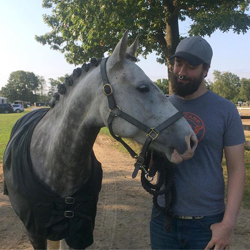 horse photo